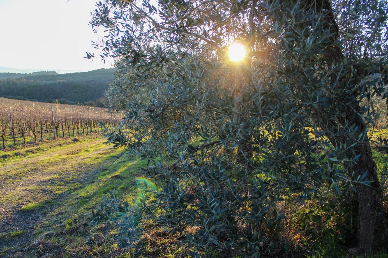 Ferienwohnung Fattoria La Torre San Gimignano Exterior foto